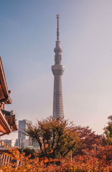 Tokyo Sky Tree